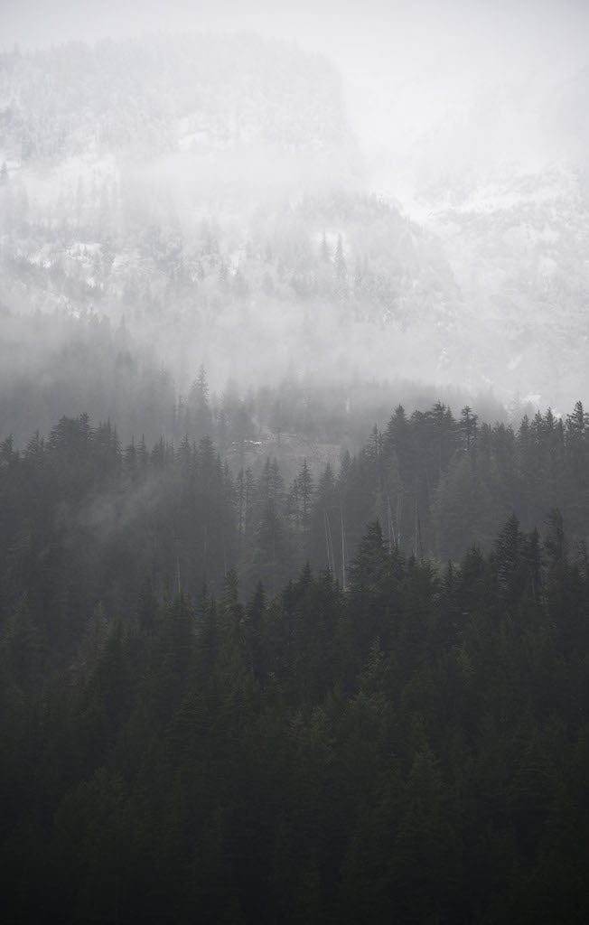 Black and white Misty Mountains II - Gallery Frames