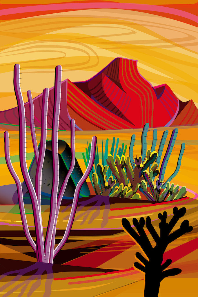 Colorful desert with Cactus, Mountains - Gallery Frames