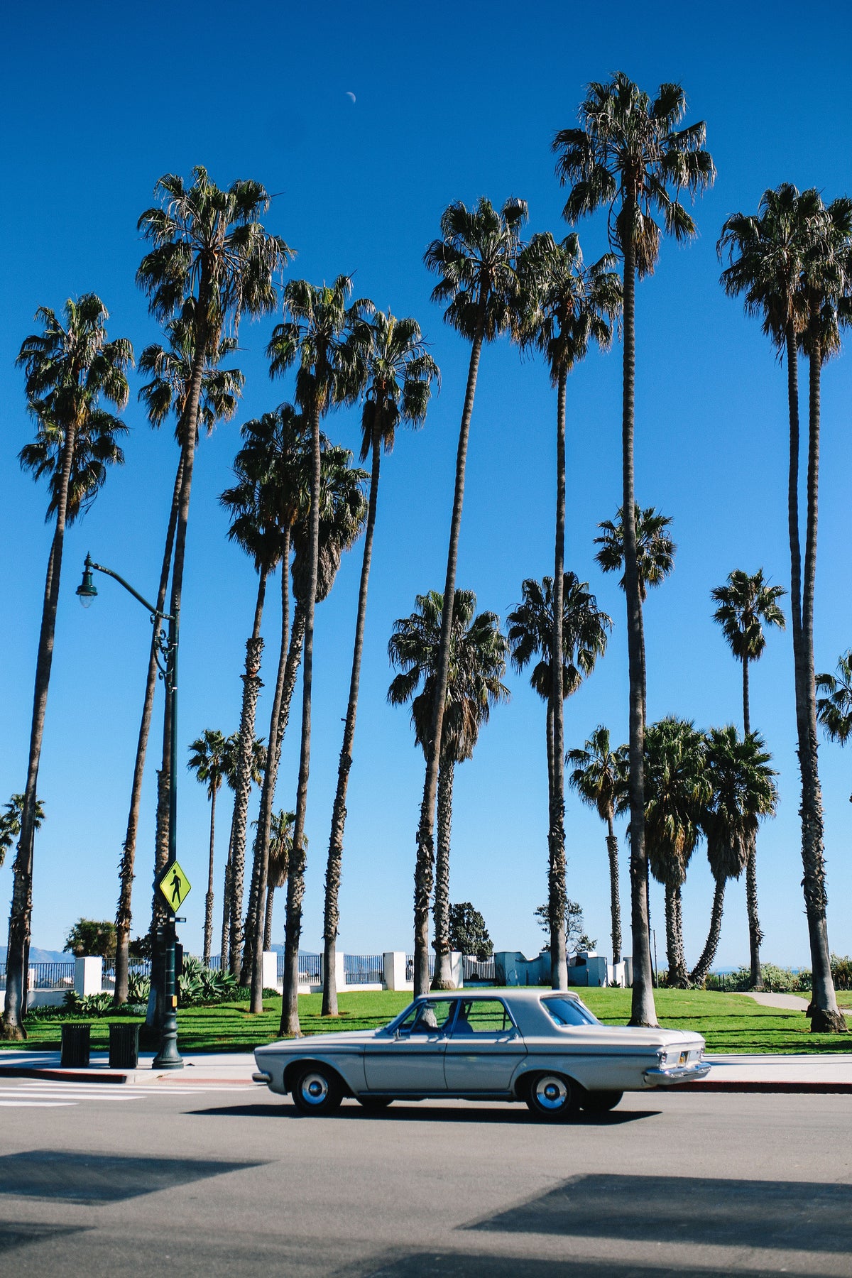 Palm trees with vintage car in California - Gallery Frames