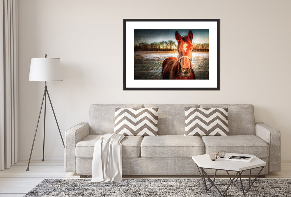 Photo Frames Australia - Buy Online – Art Print On Demand