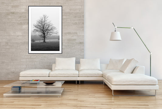 Black and white Tree in winter - Gallery Frames
