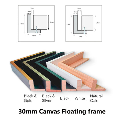 Floating Frame for Canvas Handmade Timber Picture Frame - 30mm Deep - All Sizes